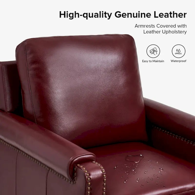 Fauteuil en cuir véritable de transition avec coussin amovible et garnitures cloutées – lot de 2